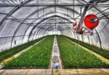 Dlaczego myjki ciśnieniowe trójfazowe są standardem w przemyśle i rolnictwie? szklarnia