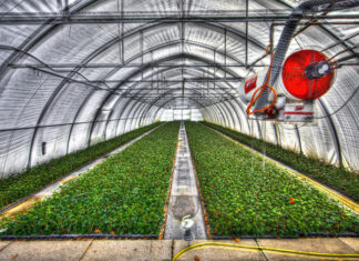 Dlaczego myjki ciśnieniowe trójfazowe są standardem w przemyśle i rolnictwie? szklarnia