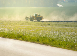 Jak przyspieszyć wzrost roślin na wiosnę? Sprawdzone metody rolników pole uprawne