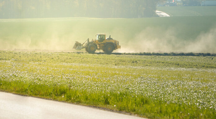 Jak przyspieszyć wzrost roślin na wiosnę? Sprawdzone metody rolników pole uprawne